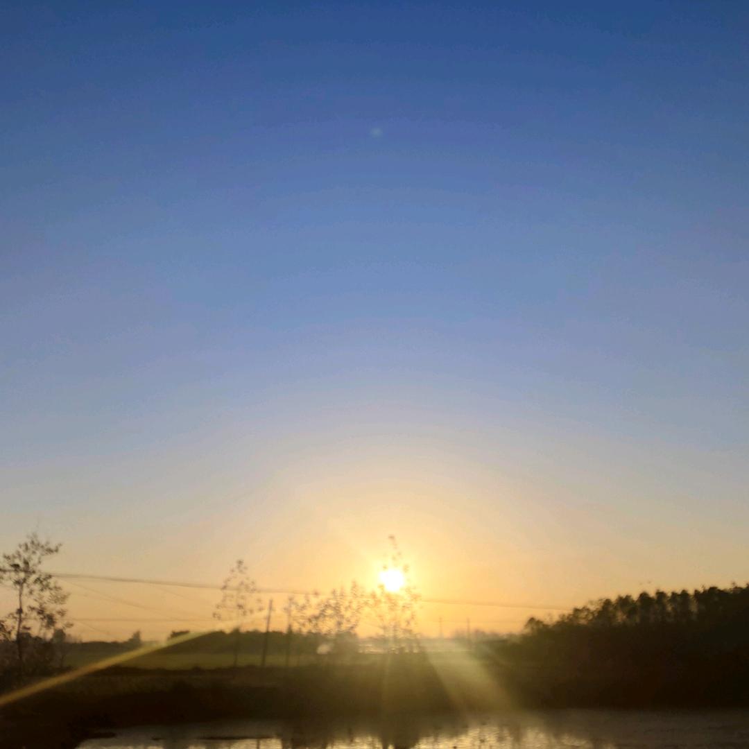 生如夏花