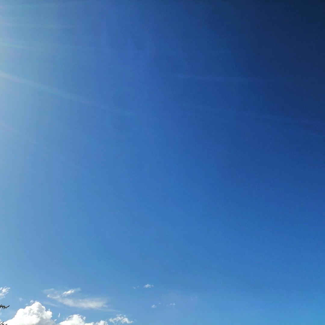 宝哥888