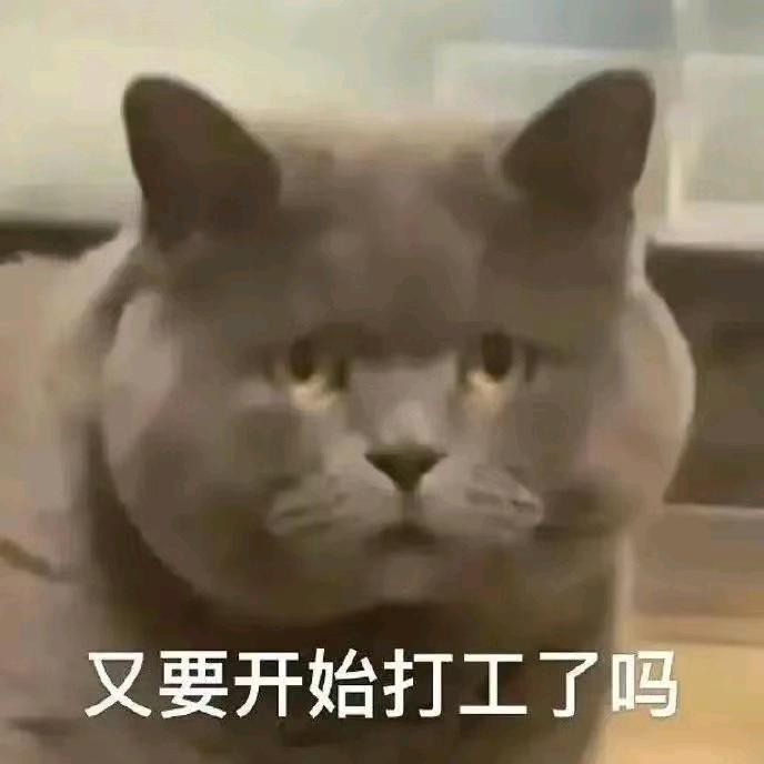 小猪好怕