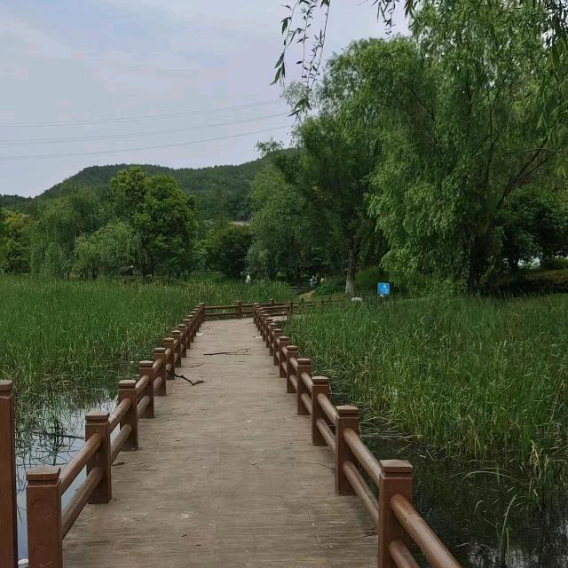 淡忘回忆《单身》