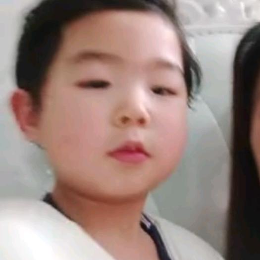 丫Z