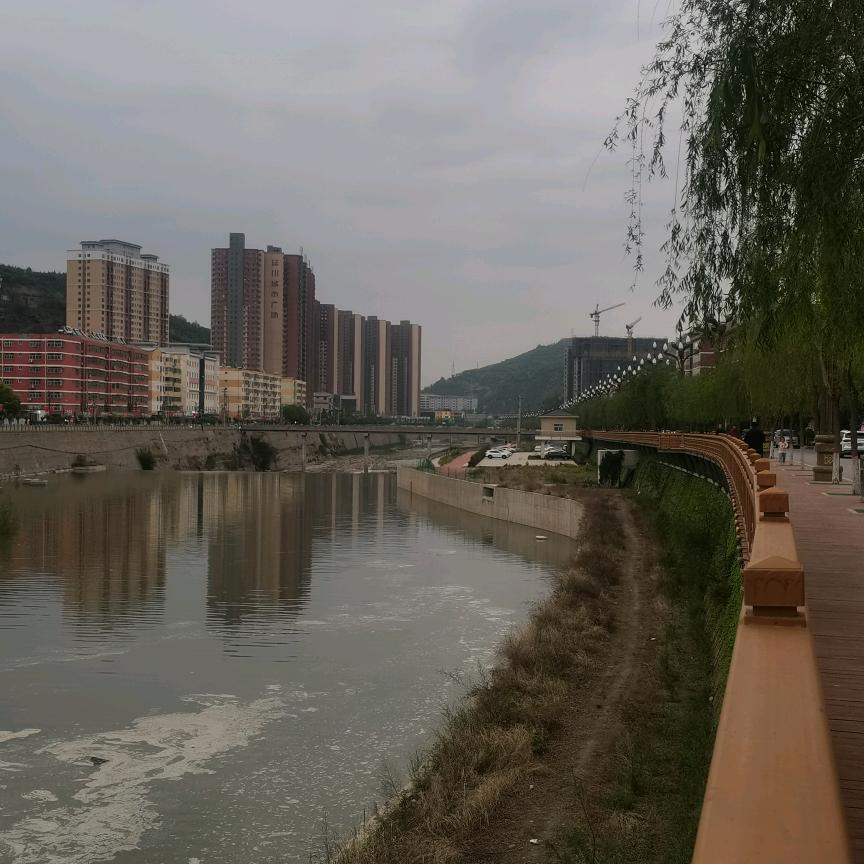 绝情