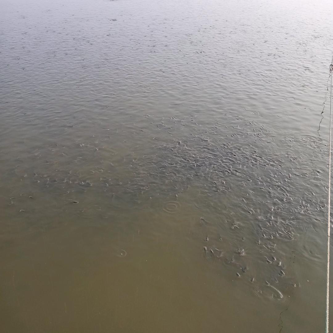 皮皮虾的公公头像