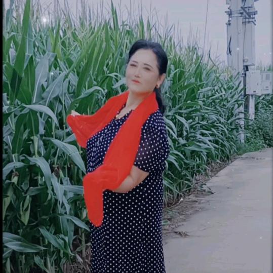 阿莲