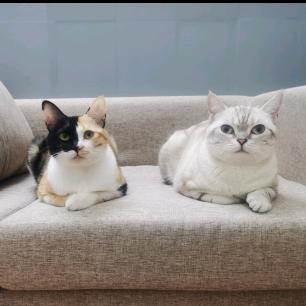 南北是个小可爱