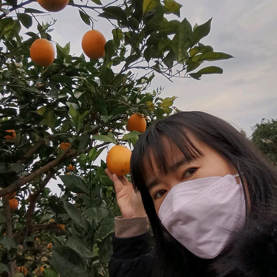 阿连