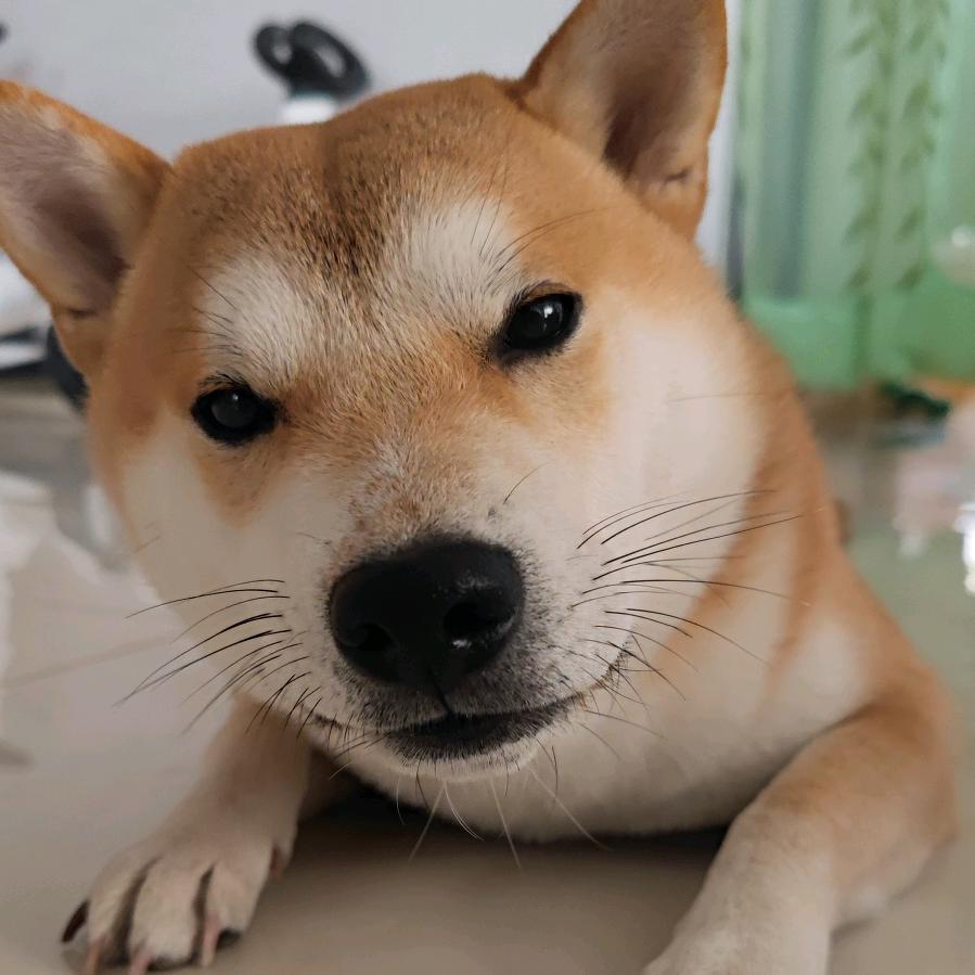 🔥浩瀚朔辰🔥