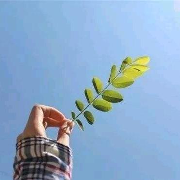 忘了你忘了我