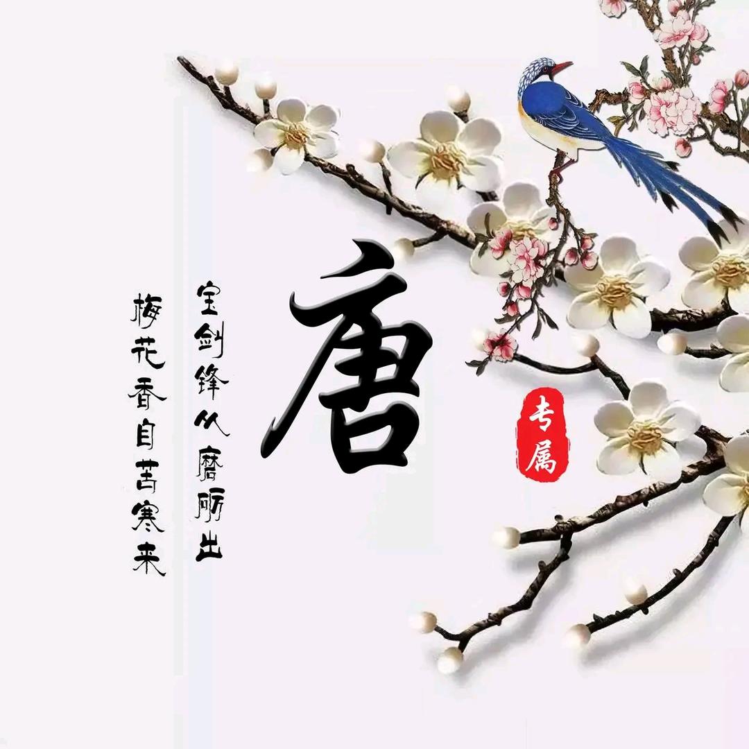 莳光如逝