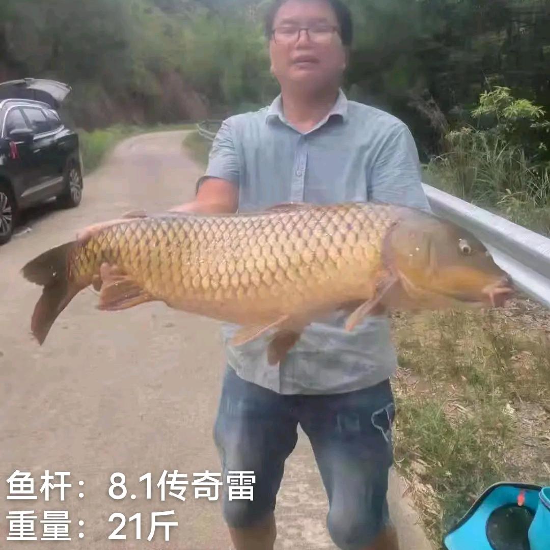 钓鱼李主任