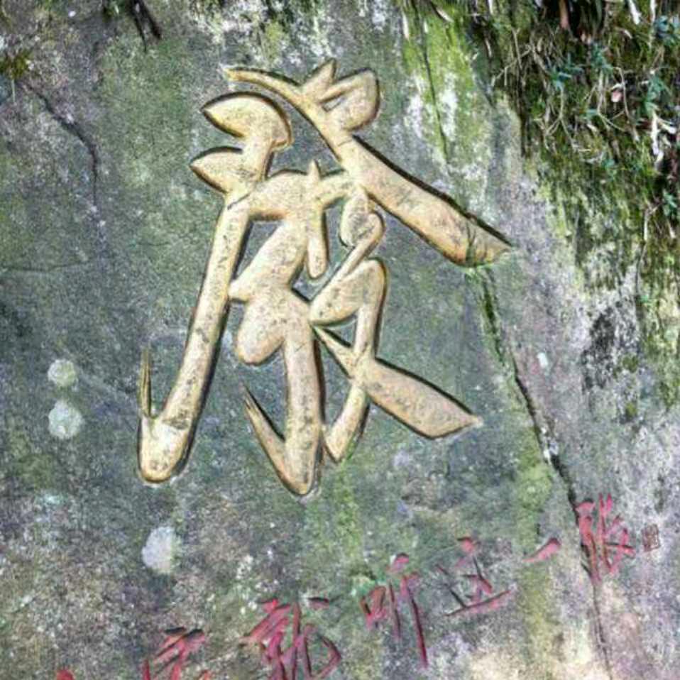 发哥!