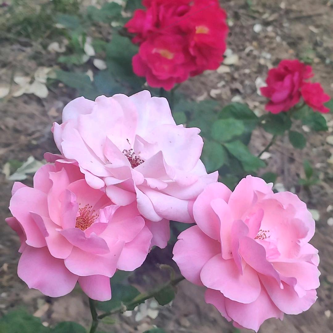 走自己的路，看自己的风景