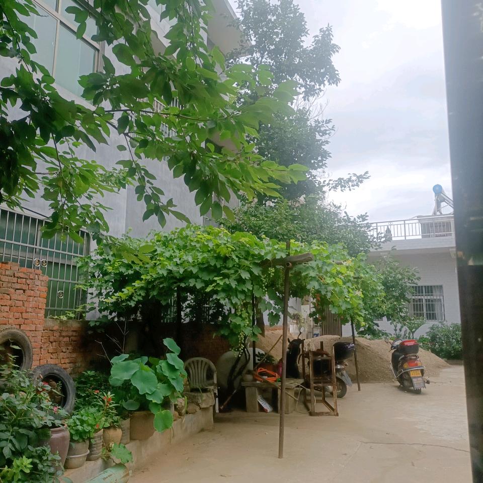 为爱守护