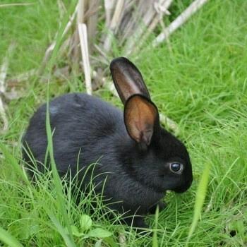 故乡的云 漫步人生路