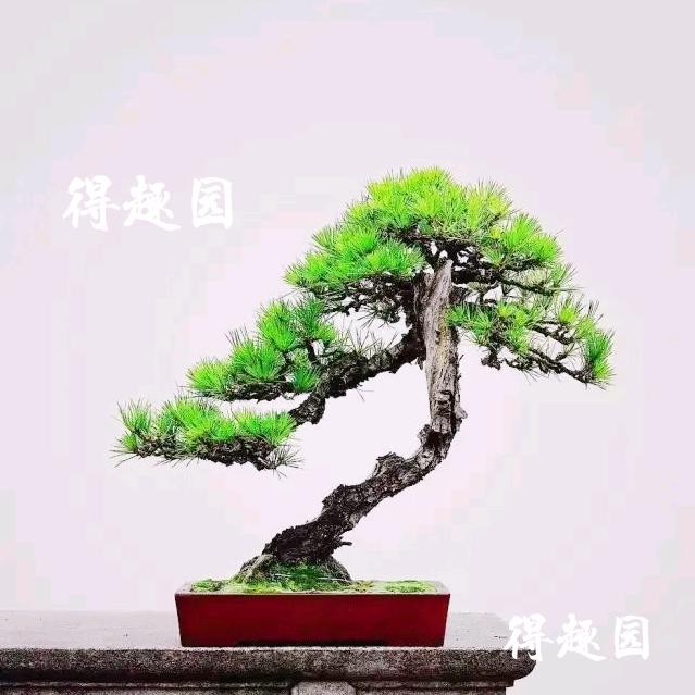 趣  园