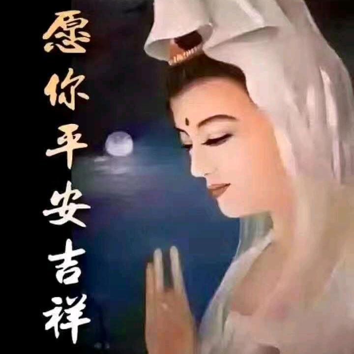 不愿触碰回忆