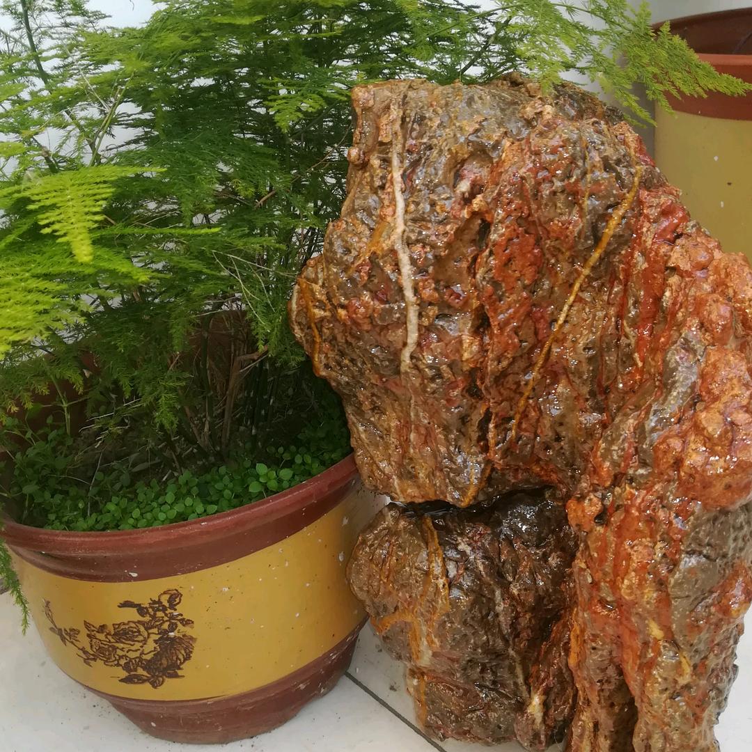 未梦而醒