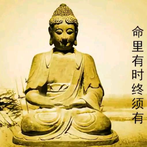 药