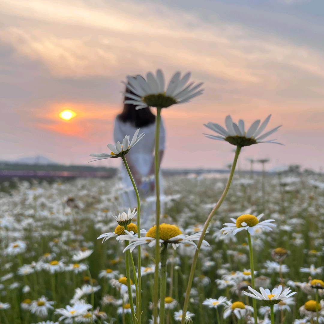 小J^_^iang不想胖