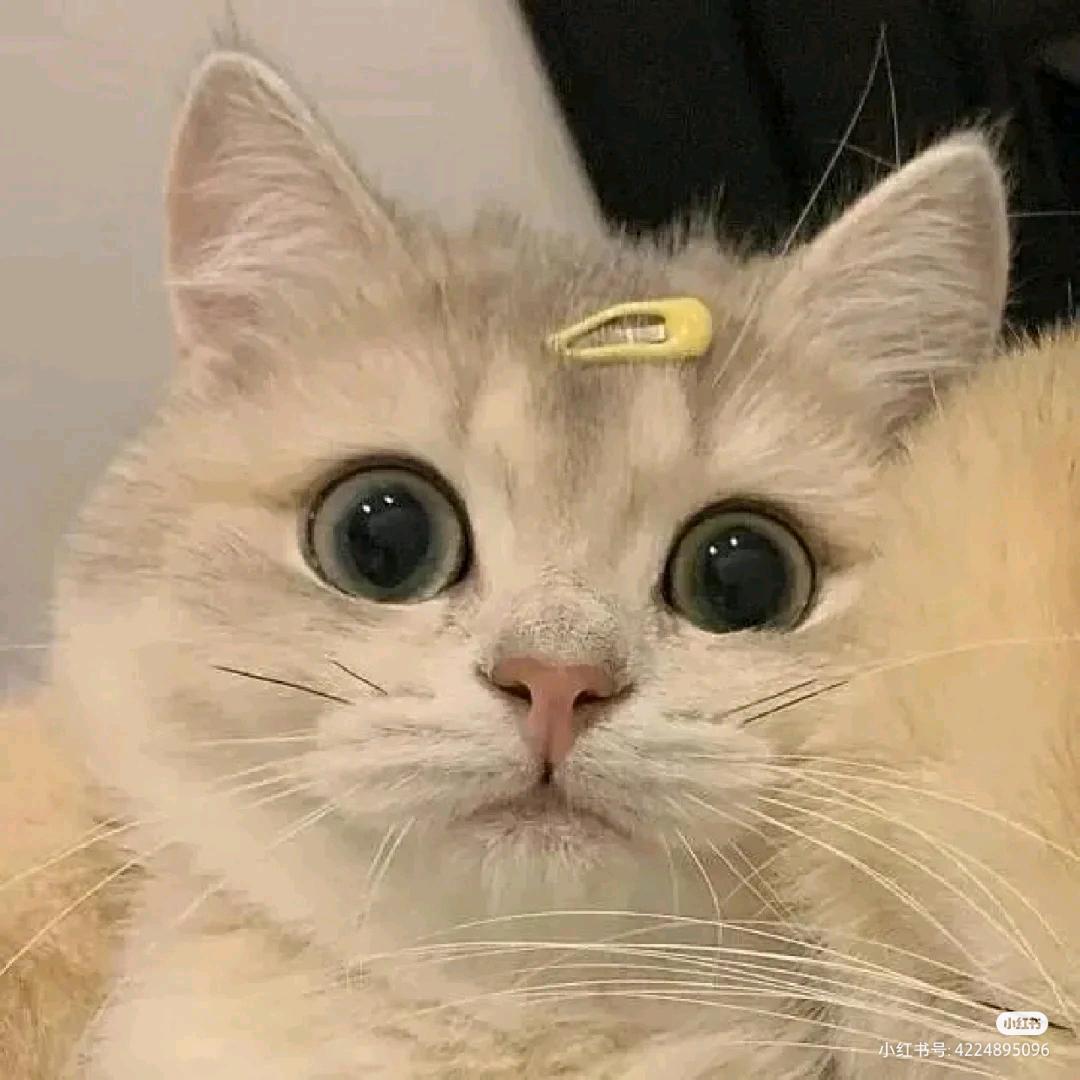 星星说累了