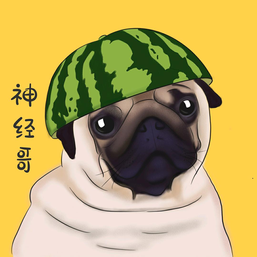 神经哥