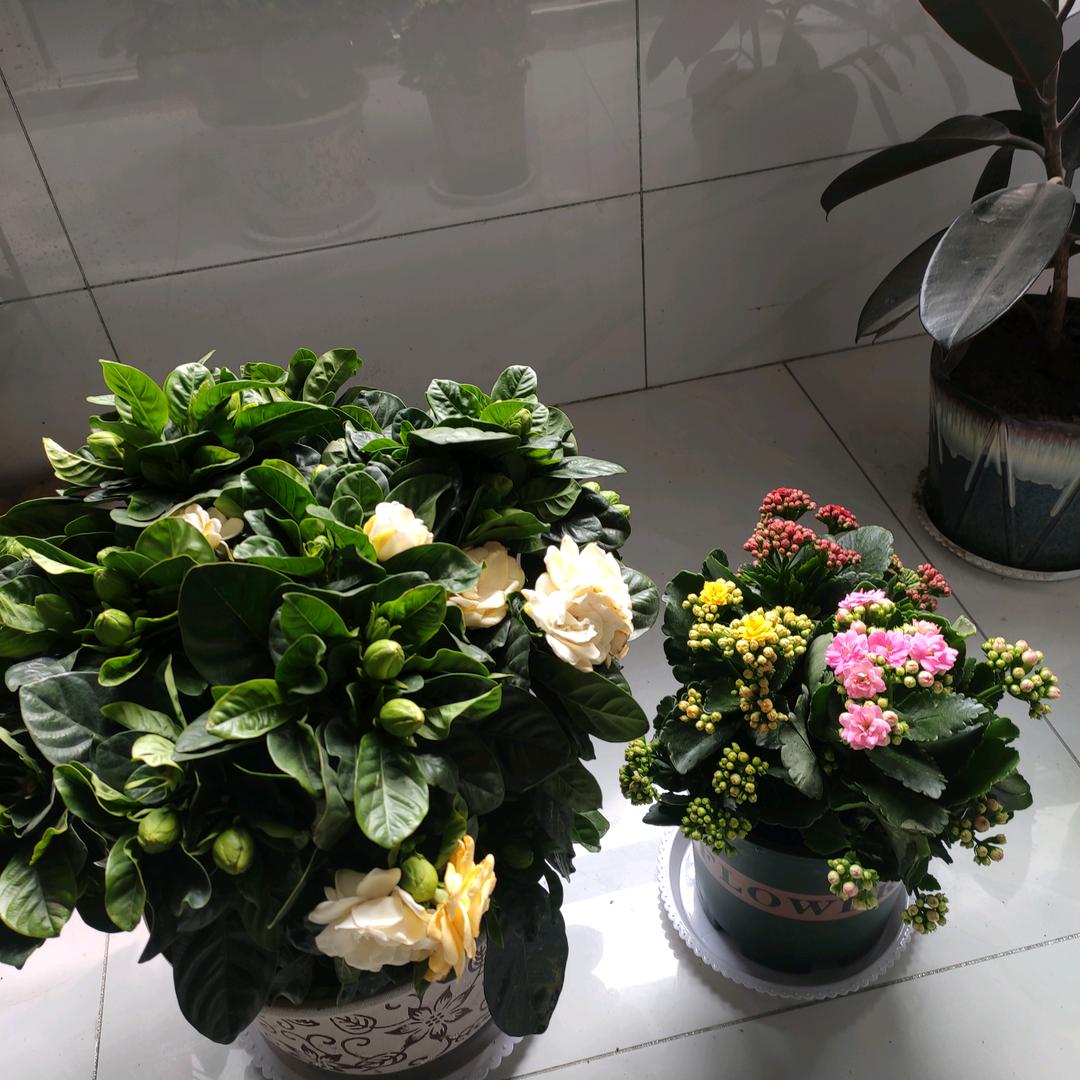 对自己好一点