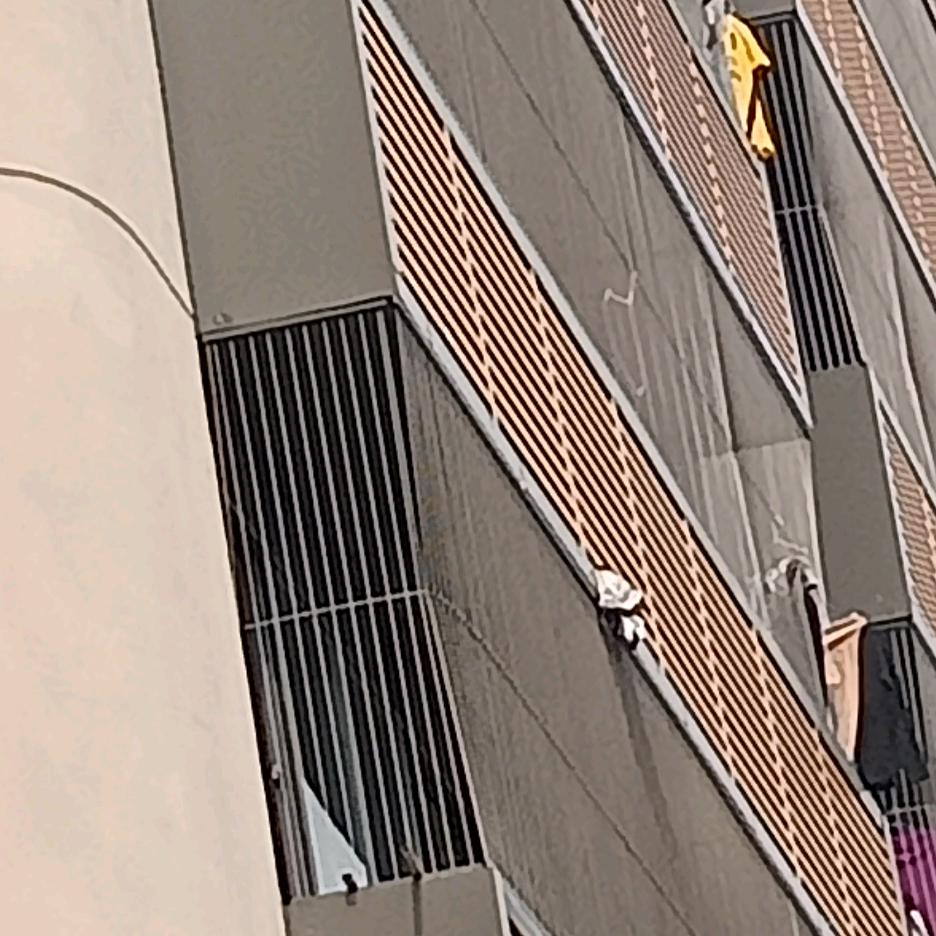 隐形防护网（安装我是认真的）🐉🐉🐉