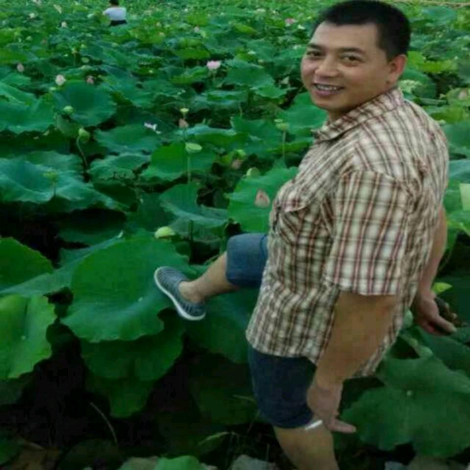 文兄