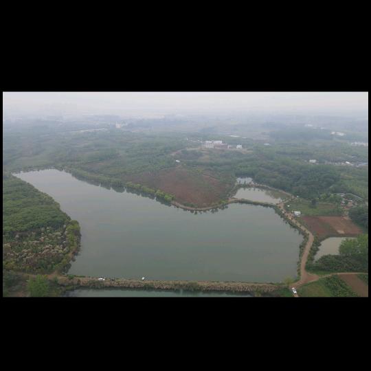 怡和园垂钓中心