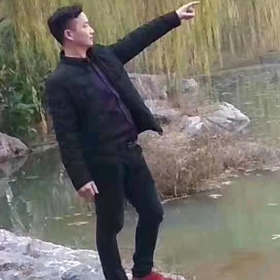 颍上段华标