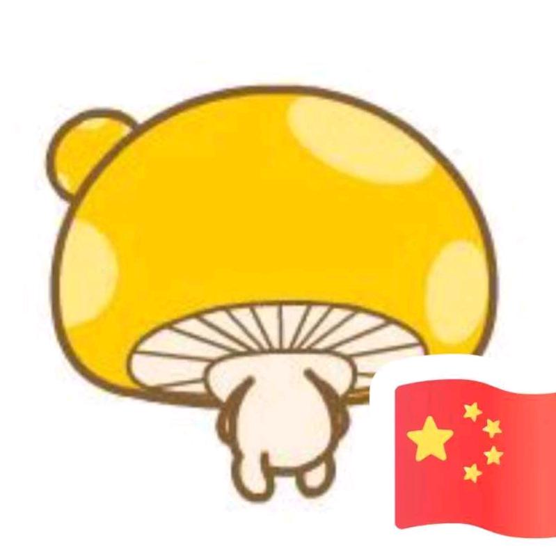 闪耀泽