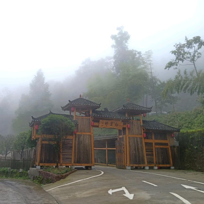 迷篱