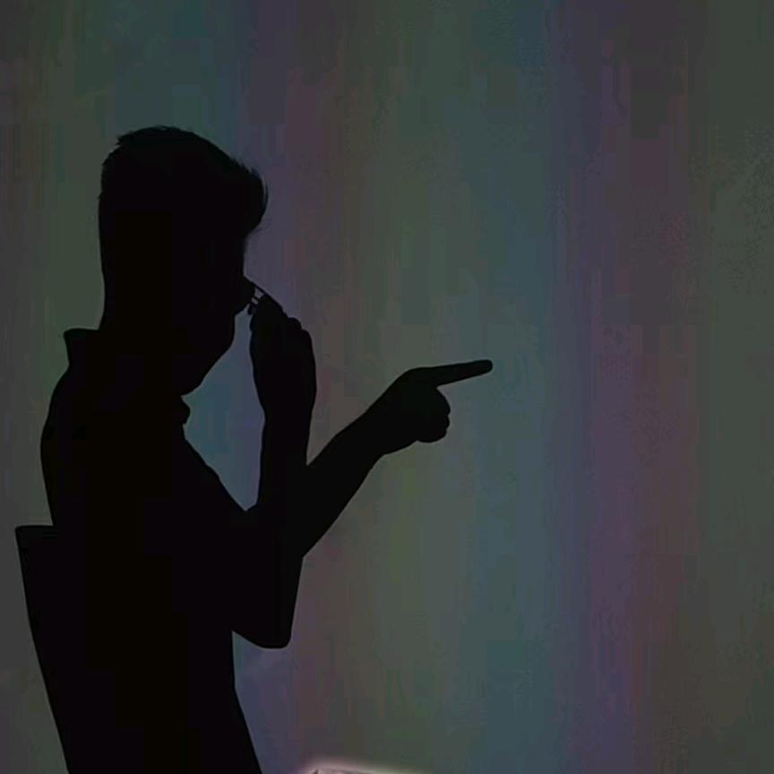 宋理想