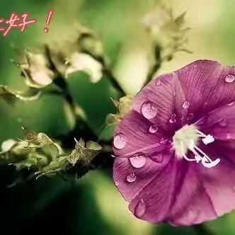 幸福快乐(*^ω^*)