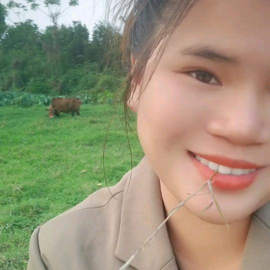 每天都父慈女孝
