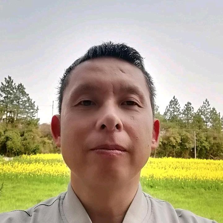 田间小树