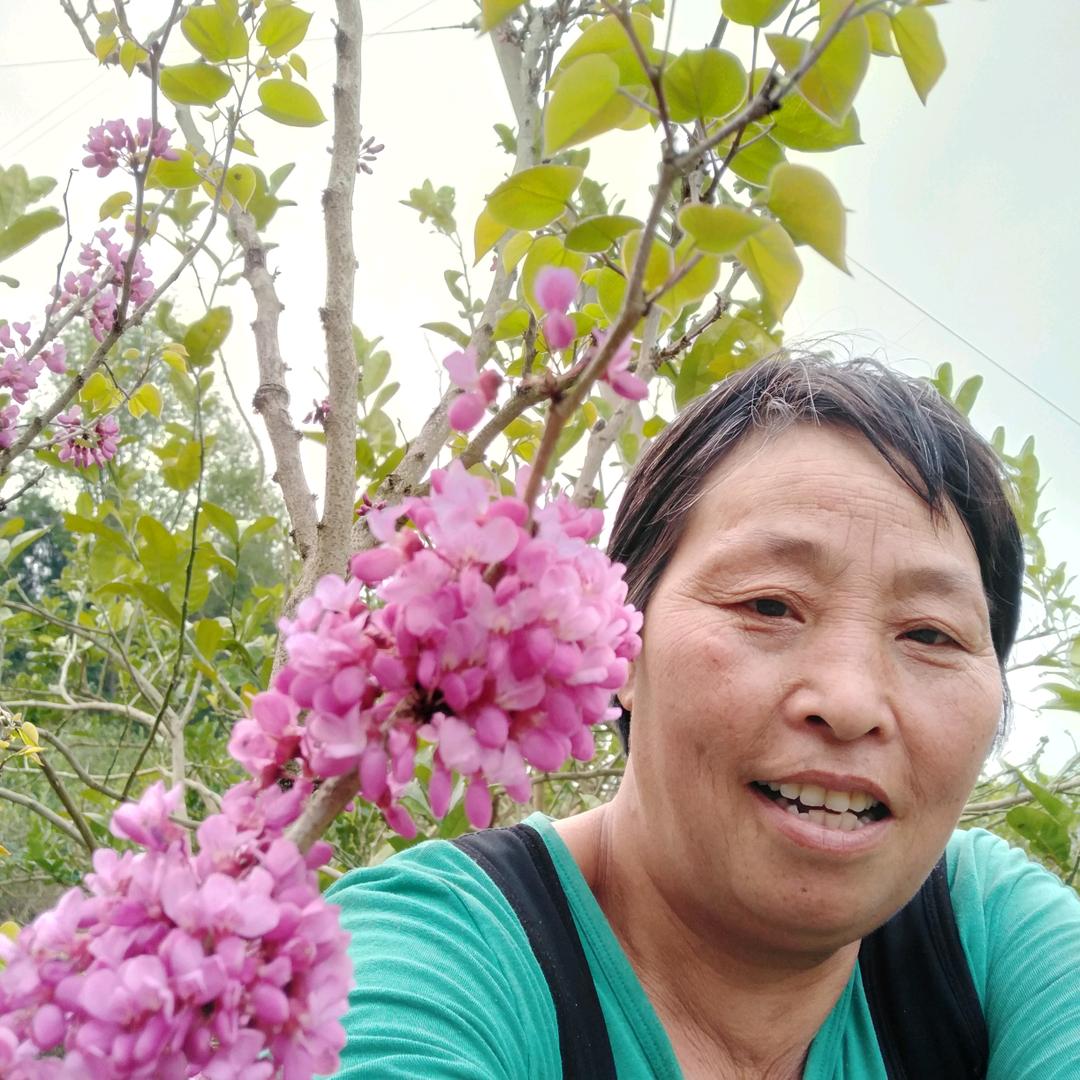 多发点正能量