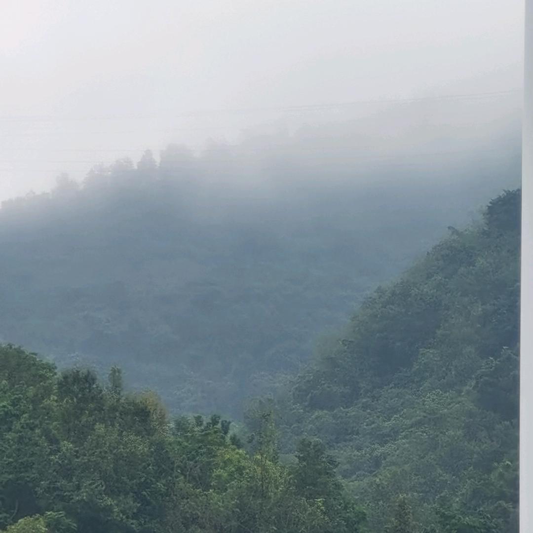 寂寞