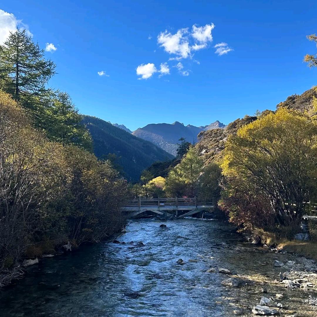山水***