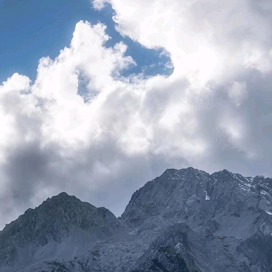 怪兽别跑biubiubiu