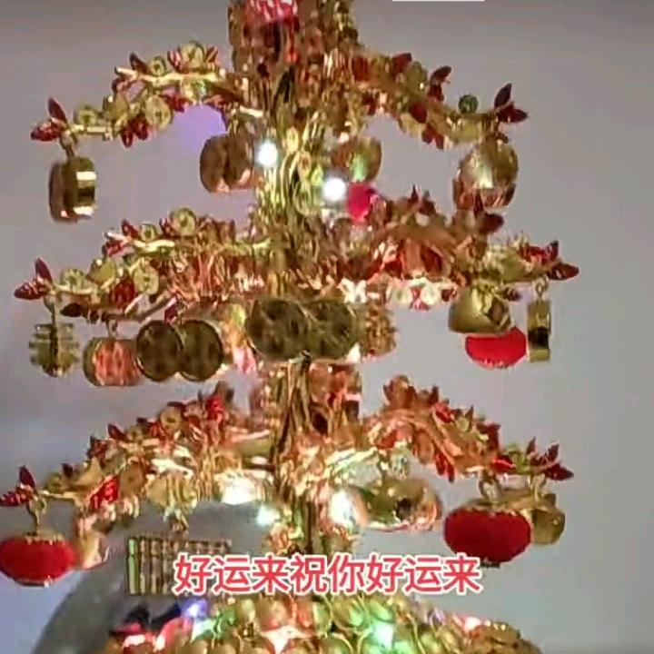 潇洒了人生🎻🎻