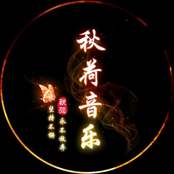 秋荷音乐🎶橱窗好物