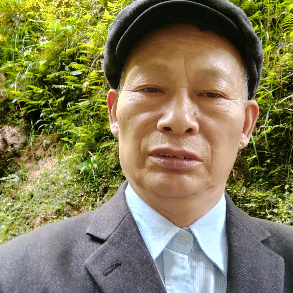 阳光之歌