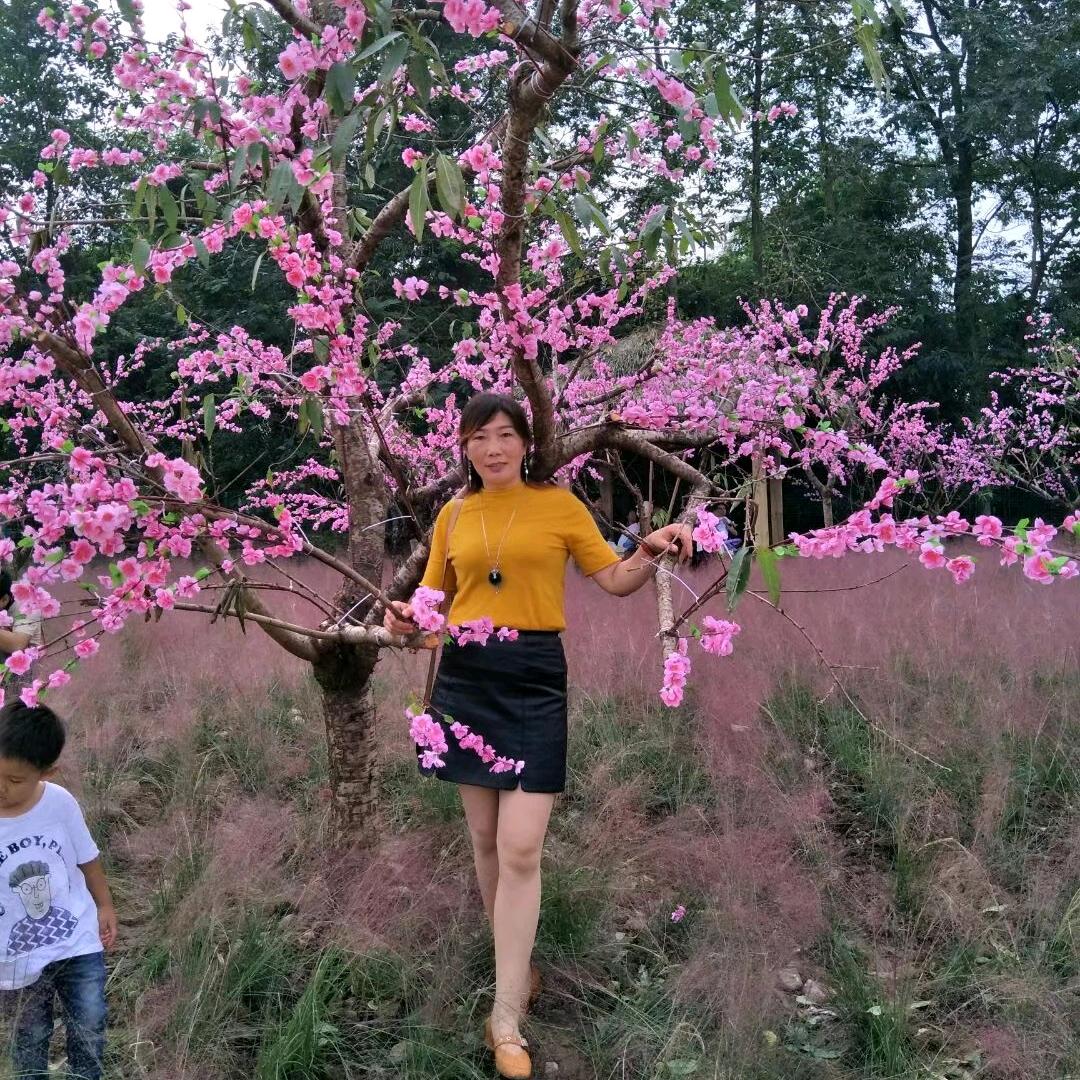 绿之源休闲山庄