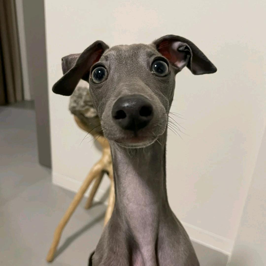 一霖（猛摸瘸子那条好腿）