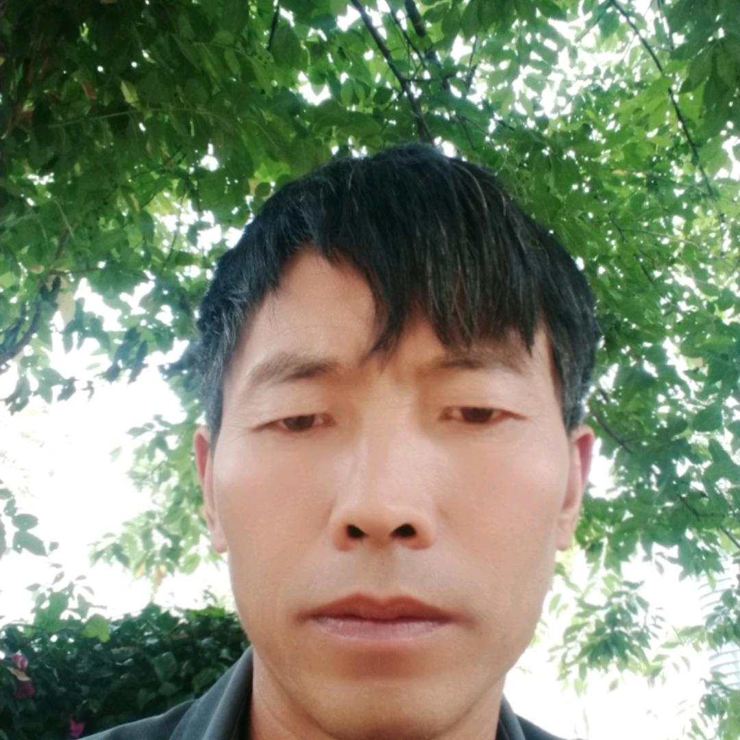 桃梨满天下