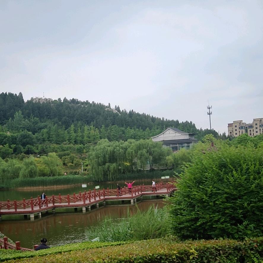 阿九哥