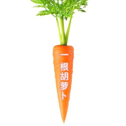 一根胡萝卜丫