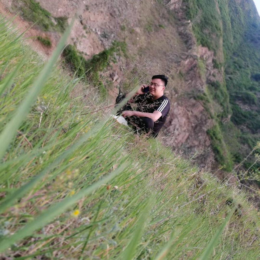 杨亮