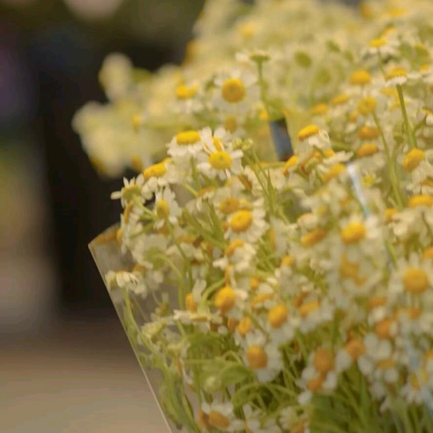 我要发正常途径的财